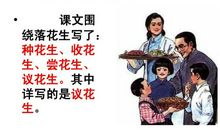 读《落花生》有感__550字