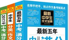 2006年中考满分作文:告别童年_800字