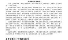 2006年中考满分作文:告别不是悲伤_900字