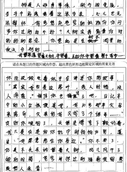 2006年，考试充满了作文：告别夜晚_900字