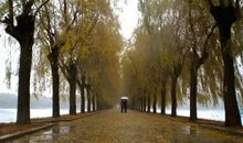 风雨中，我的独白_1200字