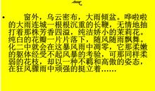 不该丢失的东西——自信_800字