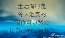 我不会放弃的_600字