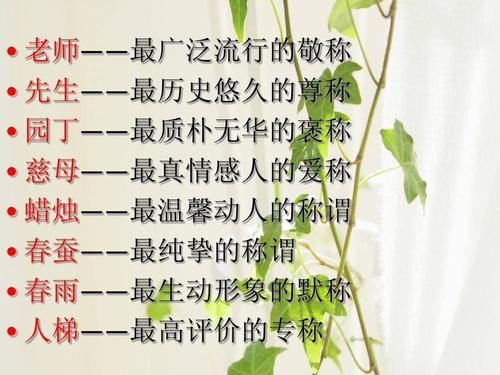 尊重旧的爱（不是叙事）_900字