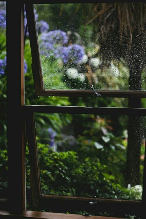 雨不一定会成为_800字