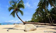 迷人的椰风海韵_300字