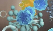 我敬佩的生命——微生物_350字