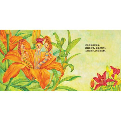 植物王国_800字
