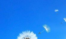 我所在乎的人_650字