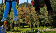 童心不泯，有梦好甜_900字