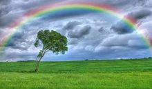 2006年中考满分作文:不经风雨，怎见彩虹_1200字