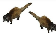 快乐的果子狸_500字