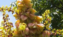 归读公园变美了_500字