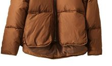 面包长“毛”_550字