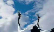 让往事随风而去——珍惜现在!_750字