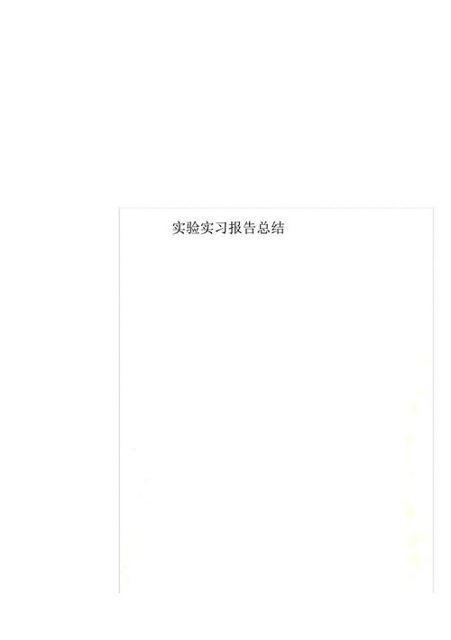 实习报告摘要