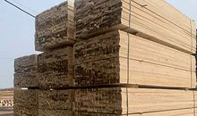 写给木杉的零碎篇章_1200字