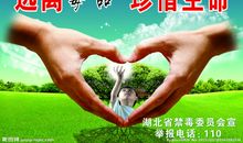 往事随风去——珍惜生命_800字