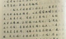 有趣的校园生活_800字