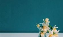 请珍惜这个世界_900字