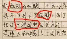 小学毕业了_600字
