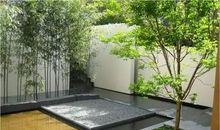 感动也是种美_550字