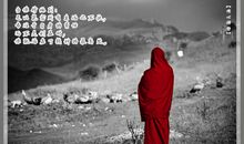 灵魂在高处（转载）_450字