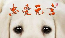 马，人类无言的朋友_900字