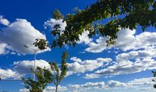 家乡的小山泉_300字