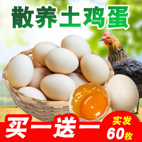 野生烤蛋_450字