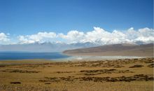 生命中的感动_650字