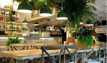 我的奶奶_1000字