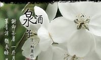 明天花就不会再开_200字