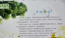 向未来扬帆起航_900字