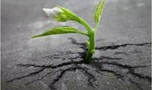 生命中的感动_900字