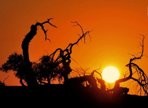 触摸灵魂的旋律_750字