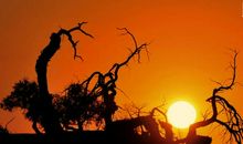 触动心灵的旋律_750字