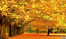 秋天.冬天_400字