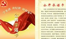 2018医生党员公开承诺书（一）