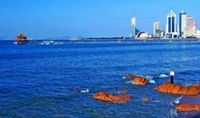 青岛的夏天_600字