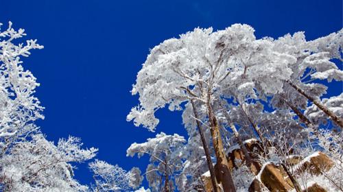 雪冬_500字