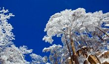 白雪皑皑的冬_500字