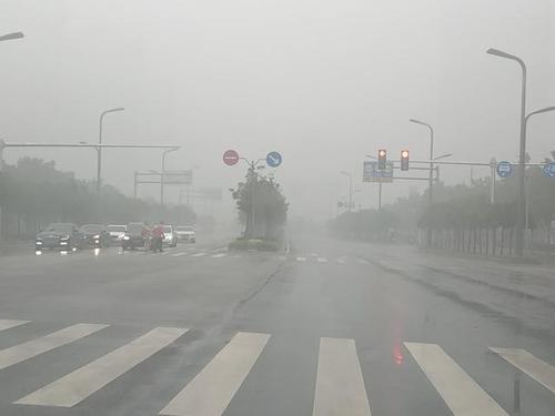 好大雾_550字