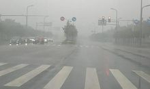 好大一场雾_550字