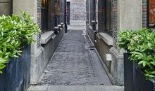 假如人生也有四季_650字