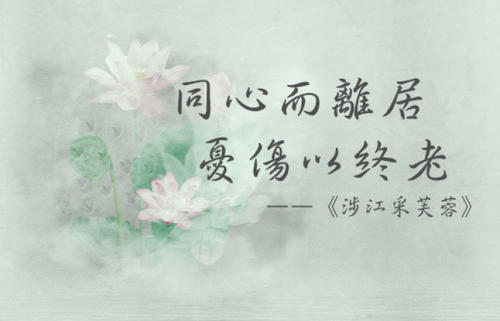 同心，折旧，悲伤是无穷无尽的（上）_600字