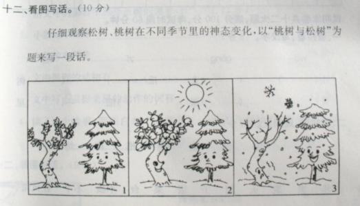 松树_400字