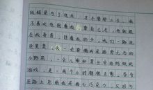 我可以为环保做些什么_500字