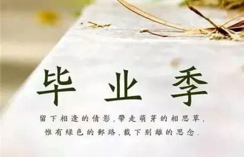 在月亮微笑_800字