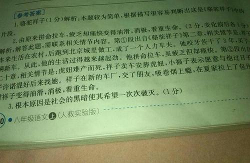 骆驼祥子_350字
